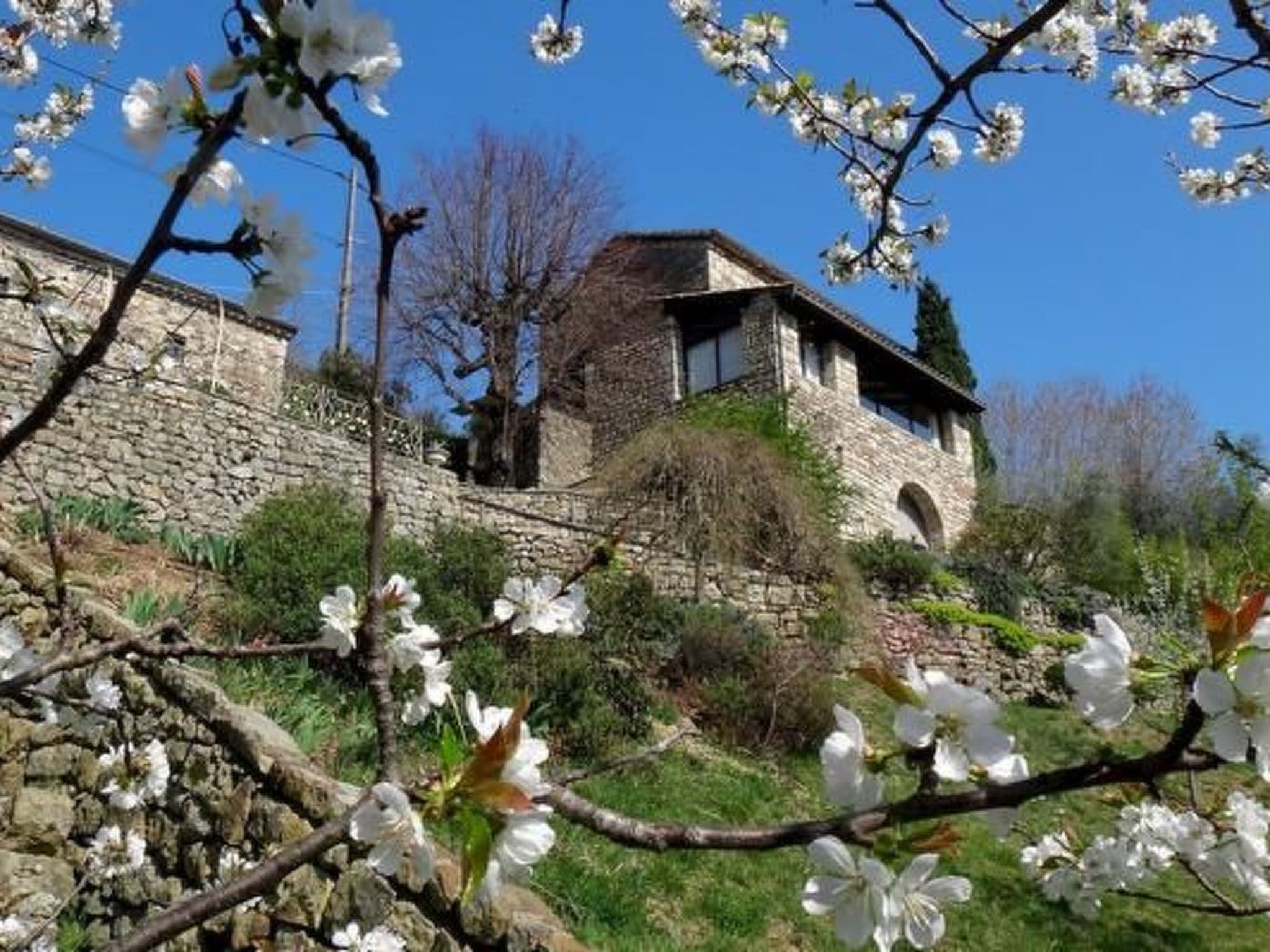 Property gallery — 1