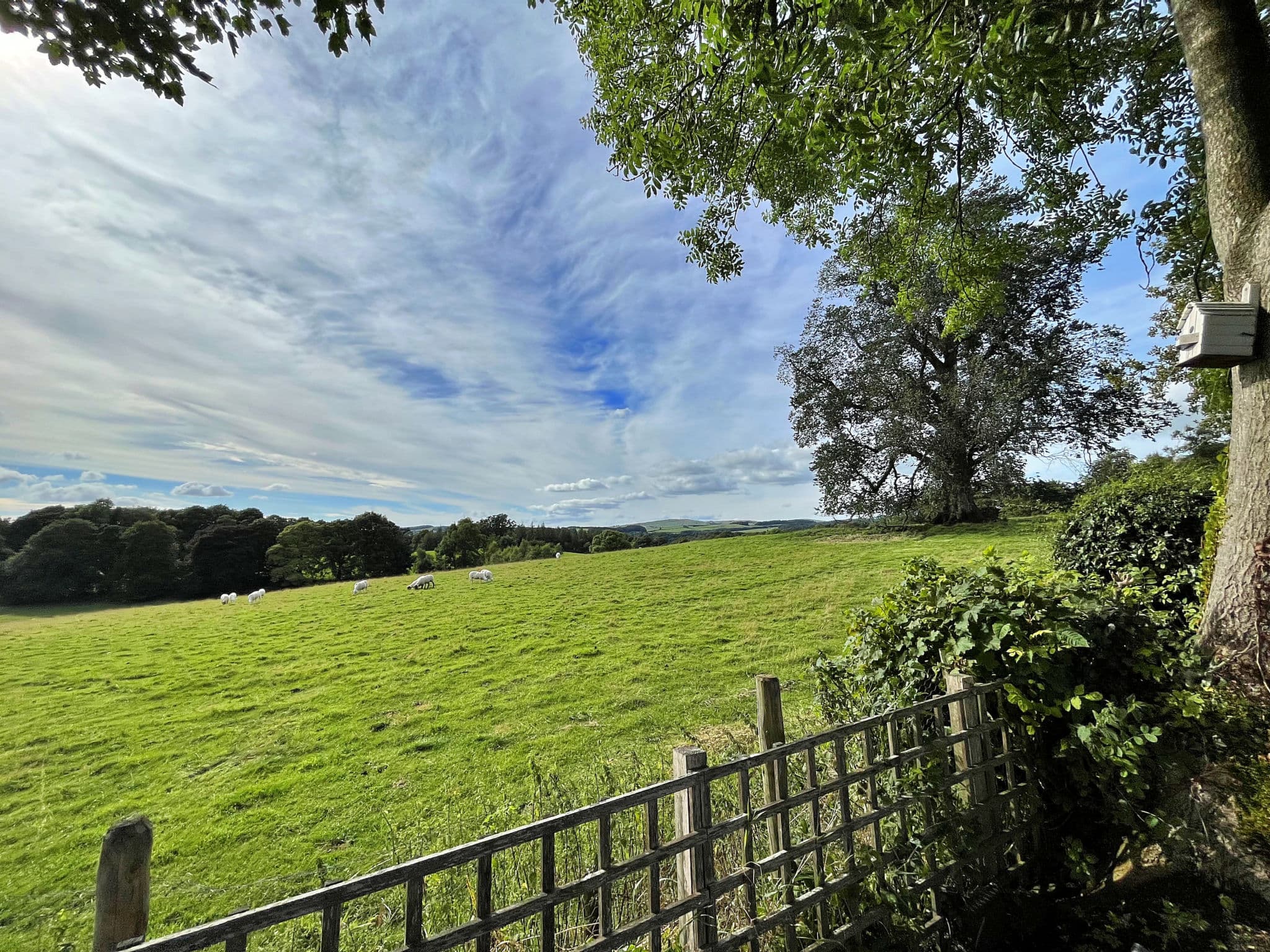 Property gallery — 3
