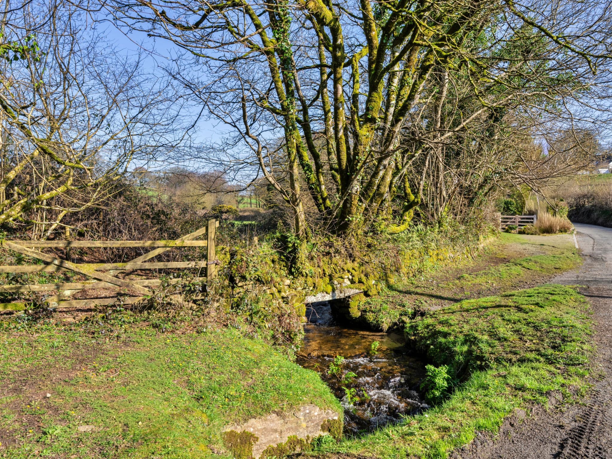 Property gallery — 2