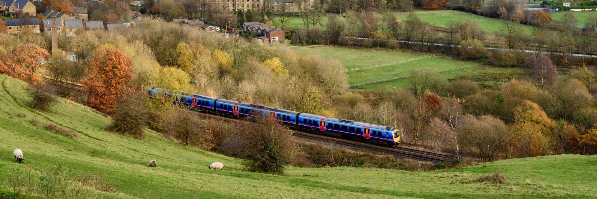 Exeter to Torquay: Best Transport Options for Your Journey