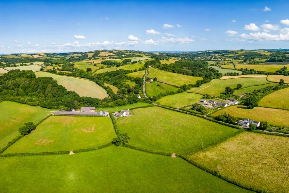 The Masons Arms Restaurant - Knowstone, Devon