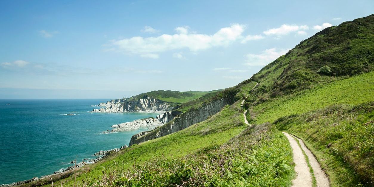 Devon-hills.jpg