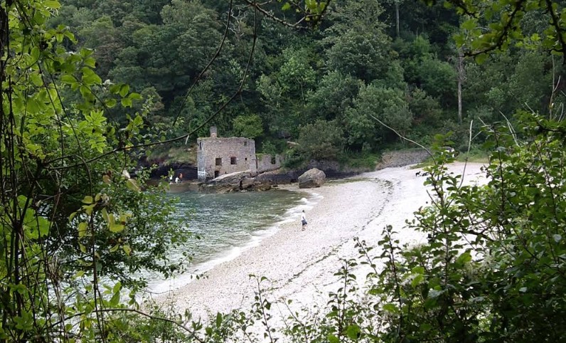 Elberry-Cove