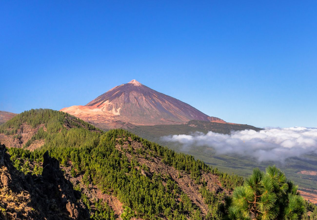 Villa in Arona - Villa Solaris Privé