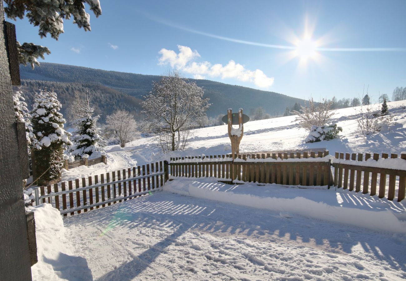 Villa in Horní Maršov -  Horni Marsov KHK310