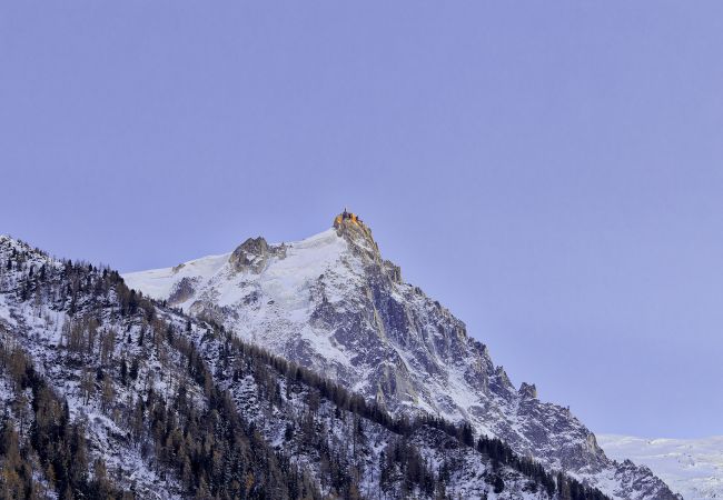 Apartment in Chamonix-Mont-Blanc - Base Camp. Chamonix Holidays. Central Cham Apartment in Chamonix-Mont-Blanc - Base Camp. Chamonix Holidays. Central Cham