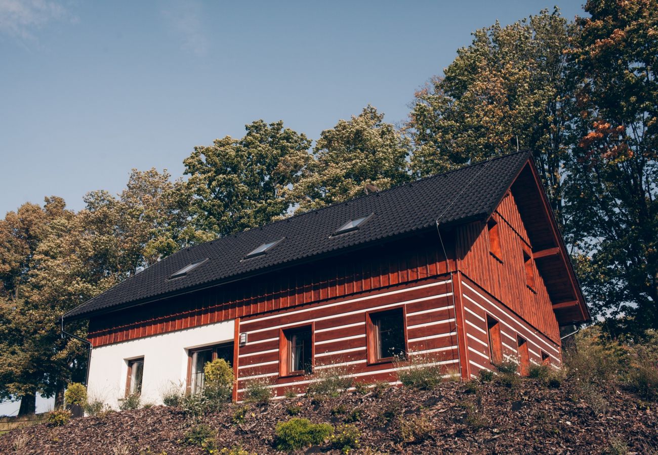 Villa in Lázne Libverda -  Lazne Libverda LLP015