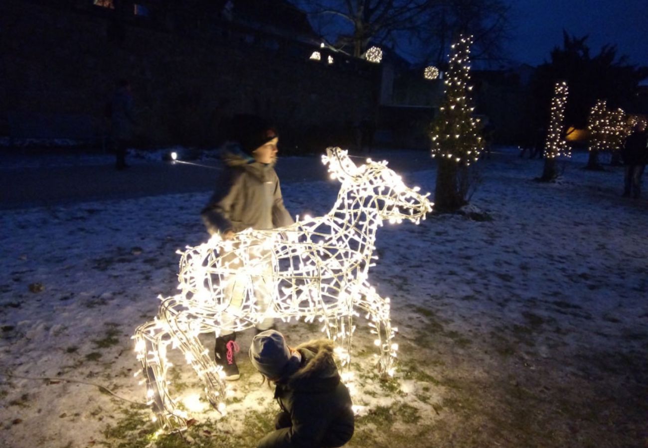 Villa in Lomnice nad Popelkou - Lomnice nad Popelkou LLB005