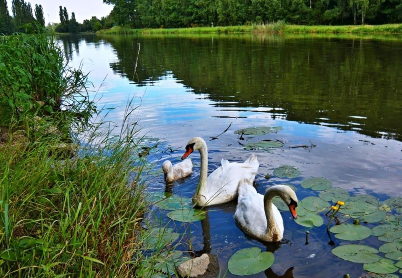 Apartment in Lány - Lány SPLG140