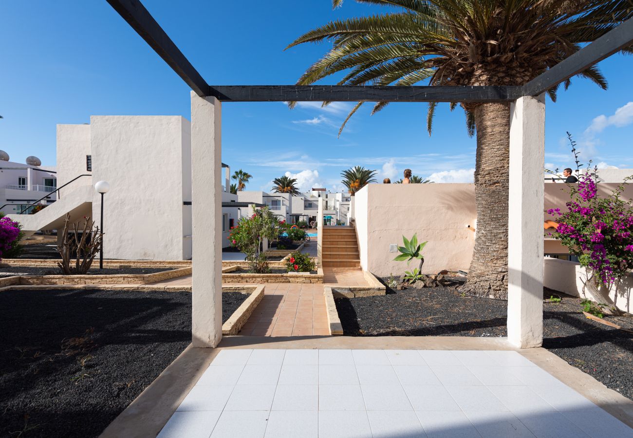 Aparthotel in Corralejo - Apartment with terrace, swimming pool and beachfront in Corralejo - Home For Guest
