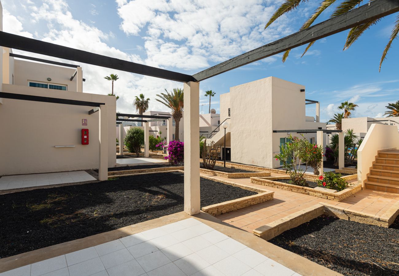 Aparthotel in Corralejo - Apartment with terrace, swimming pool and beachfront in Corralejo - Home For Guest