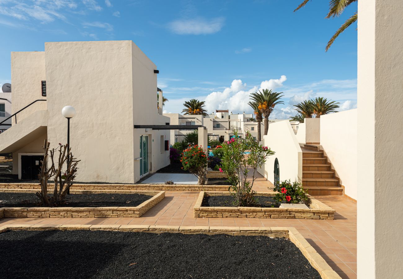Aparthotel in Corralejo - Apartment with terrace, swimming pool and beachfront in Corralejo - Home For Guest