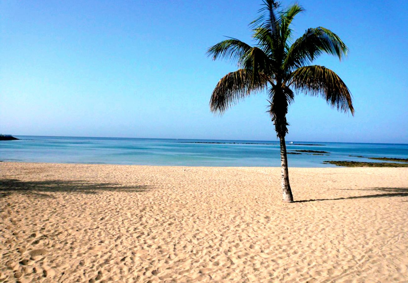 Apartment in Arrecife - Casa Fife | Immense Duplex Facing the Sea