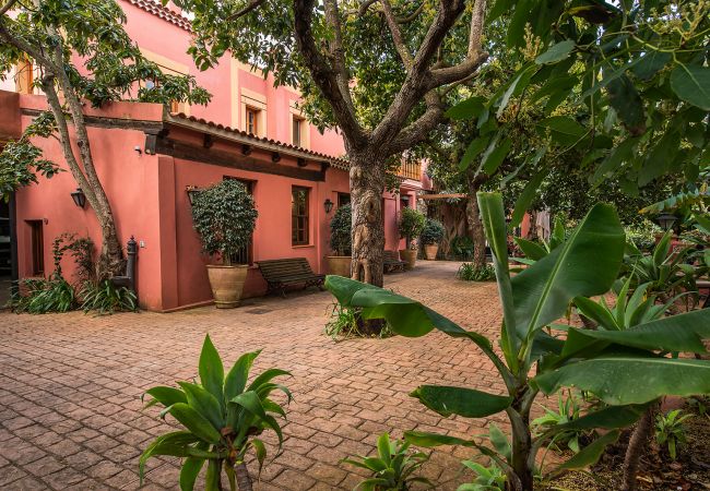Cottage in Tacoronte - HomeForGuest Rural House El Laurel with terrace and large gardens Cottage in Tacoronte - HomeForGuest Rural House El Laurel with terrace and large gardens