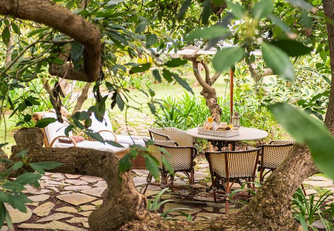 Cottage in Tacoronte - HomeForGuest Rural House El Laurel with terrace and large gardens Cottage in Tacoronte - HomeForGuest Rural House El Laurel with terrace and large gardens