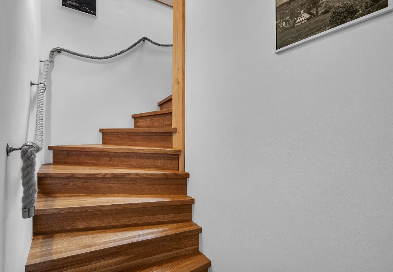 Villa in Rokytnice nad Jizerou - KRL470 