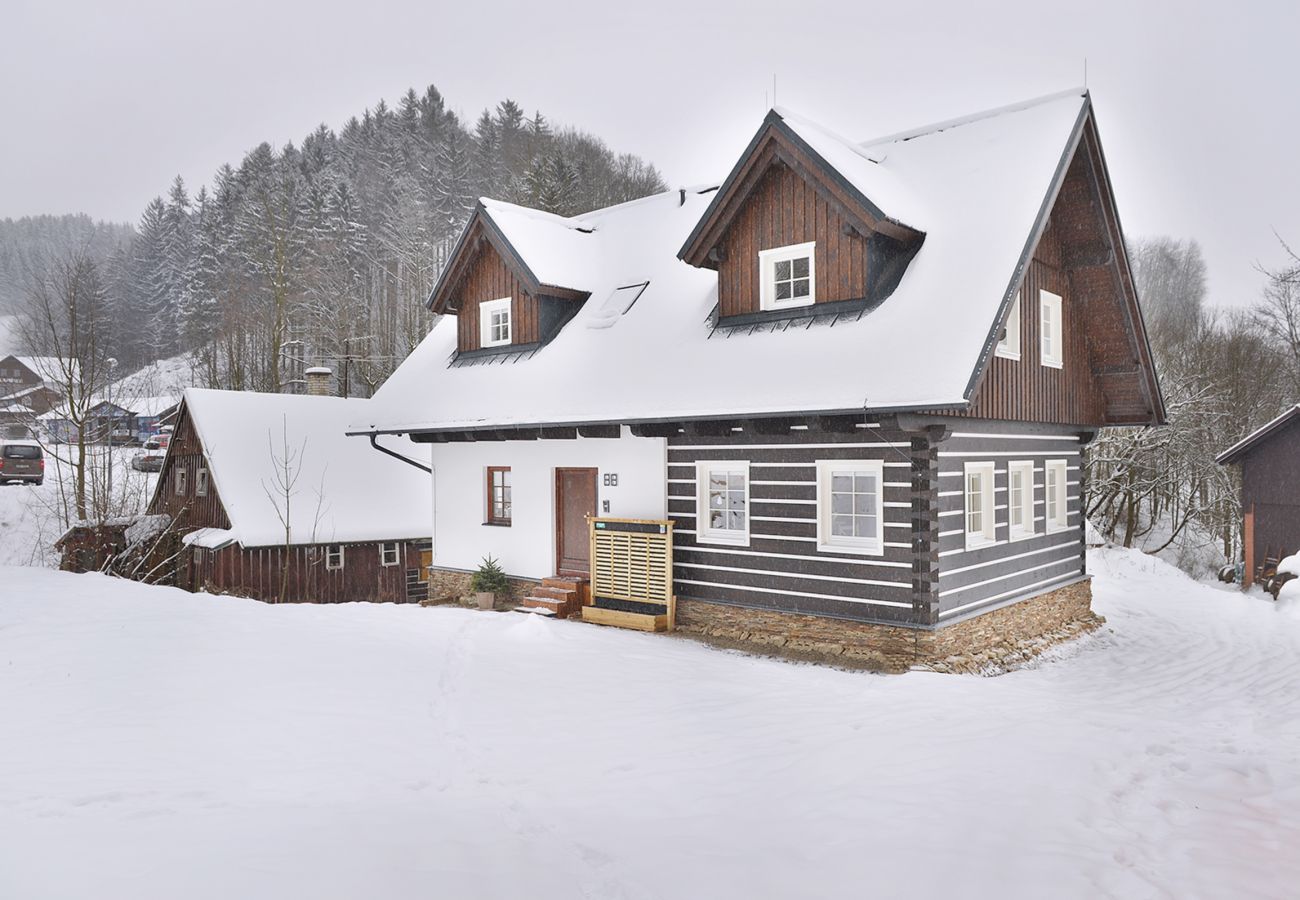 Villa in Rokytnice nad Jizerou - KRL470 