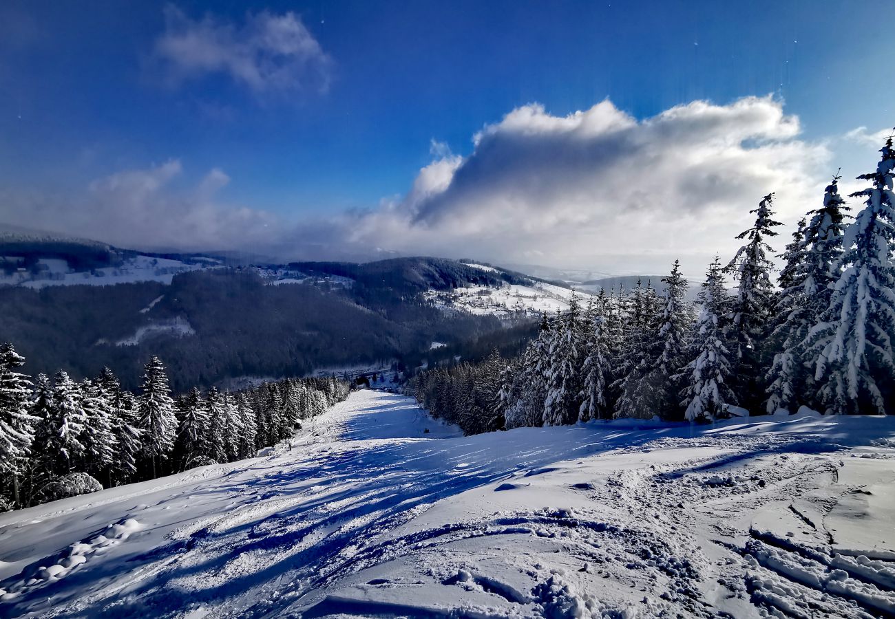 Apartment in Cerný Dul - KCL061