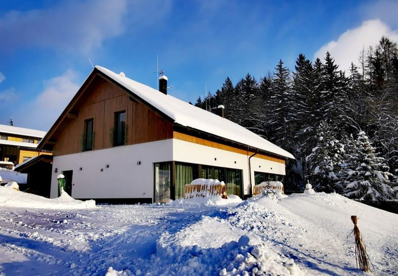 Apartment in Cerný Dul - Dul KCL062-B 