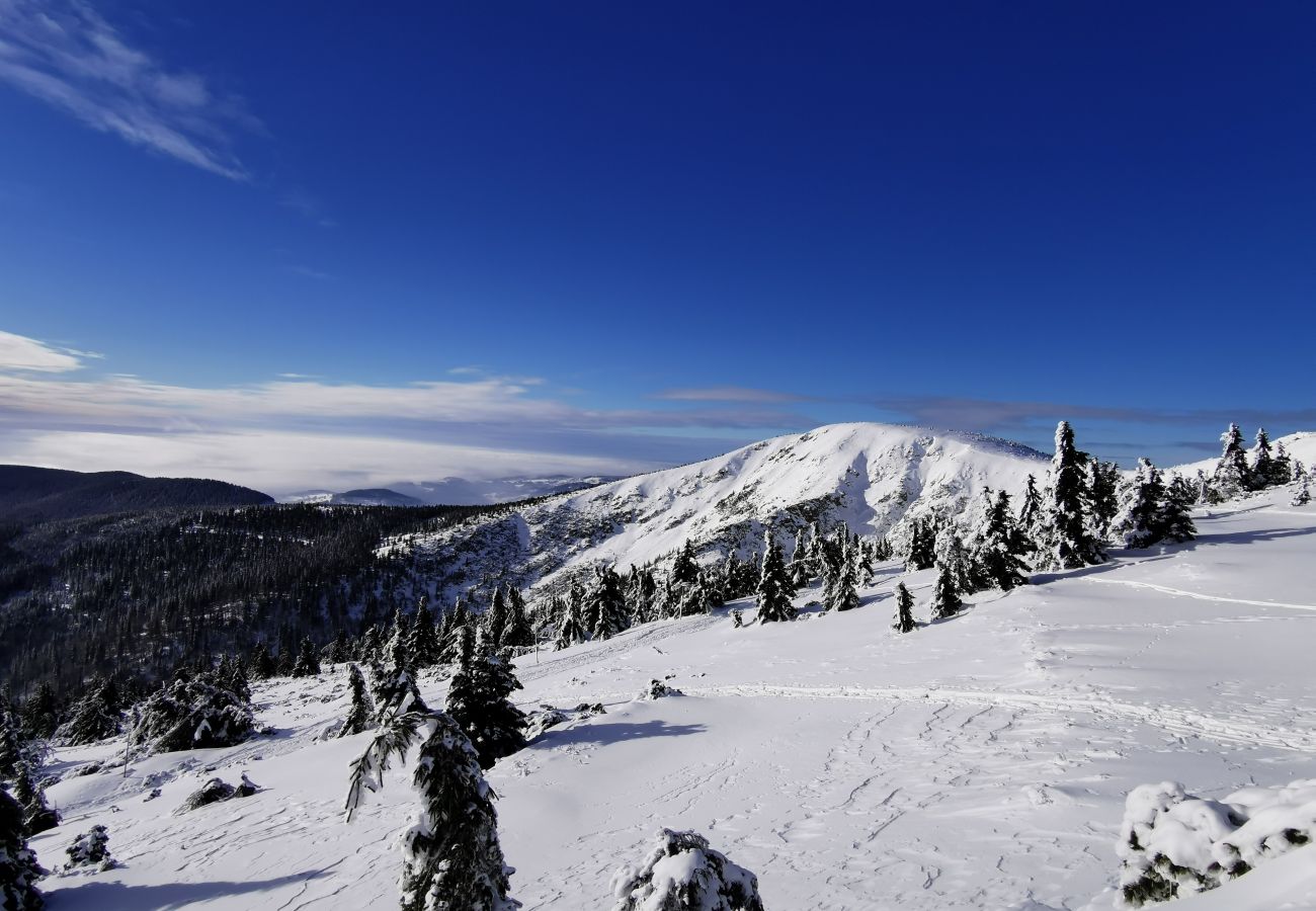 Apartment in Cerný Dul - Dul KCL062-B 