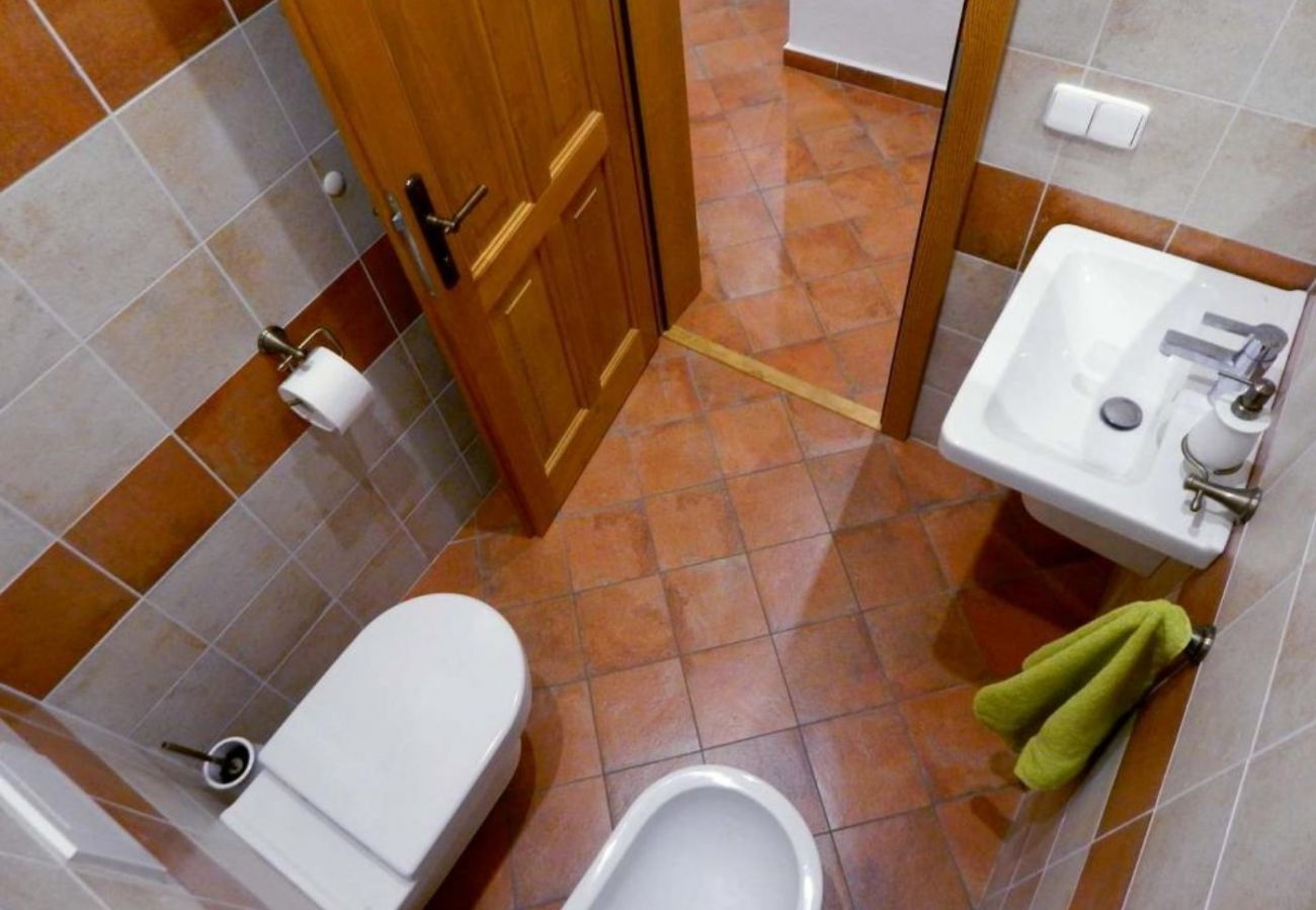 Villa in Rokytnice nad Jizerou - KRM450