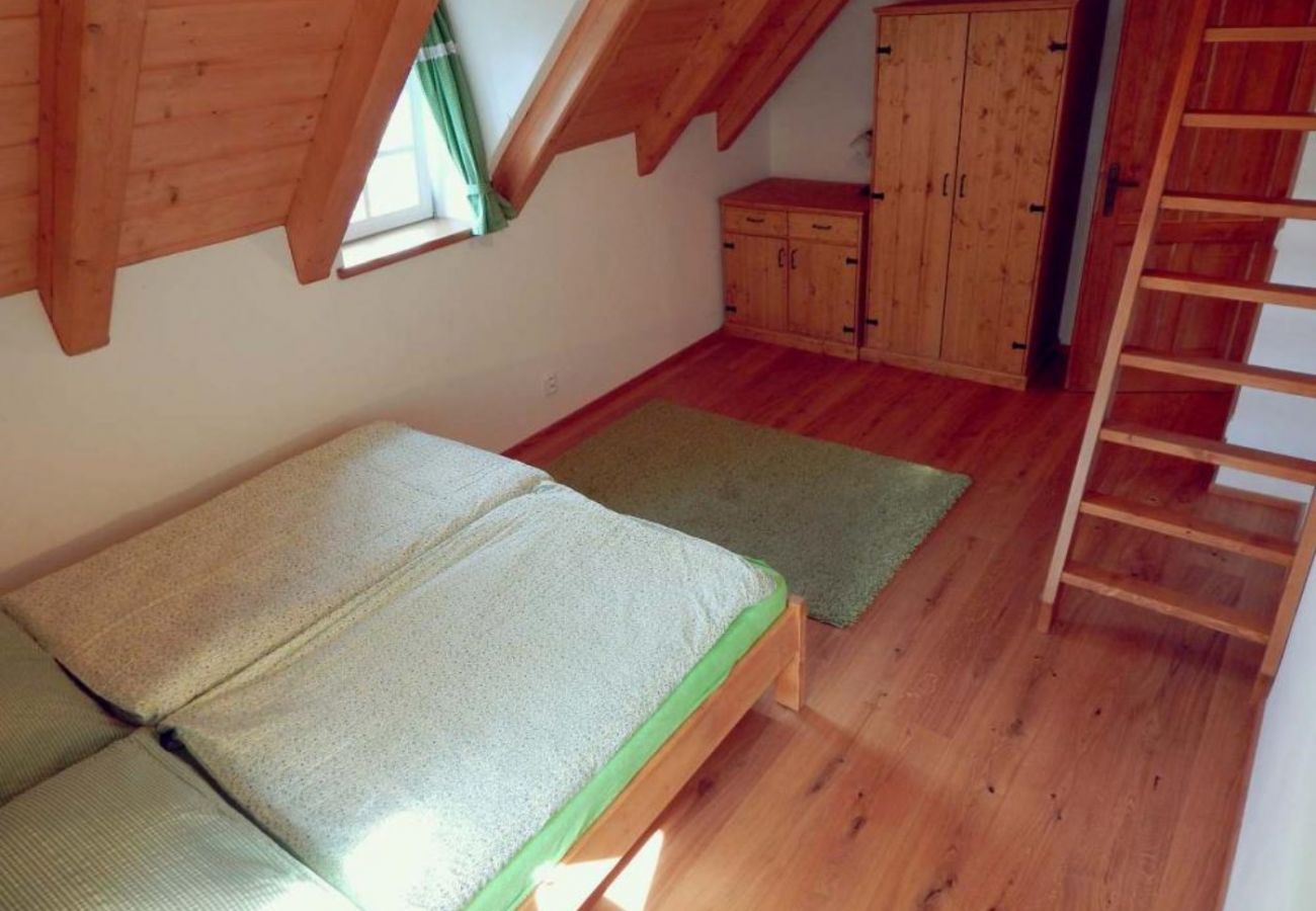 Villa in Rokytnice nad Jizerou - KRM450