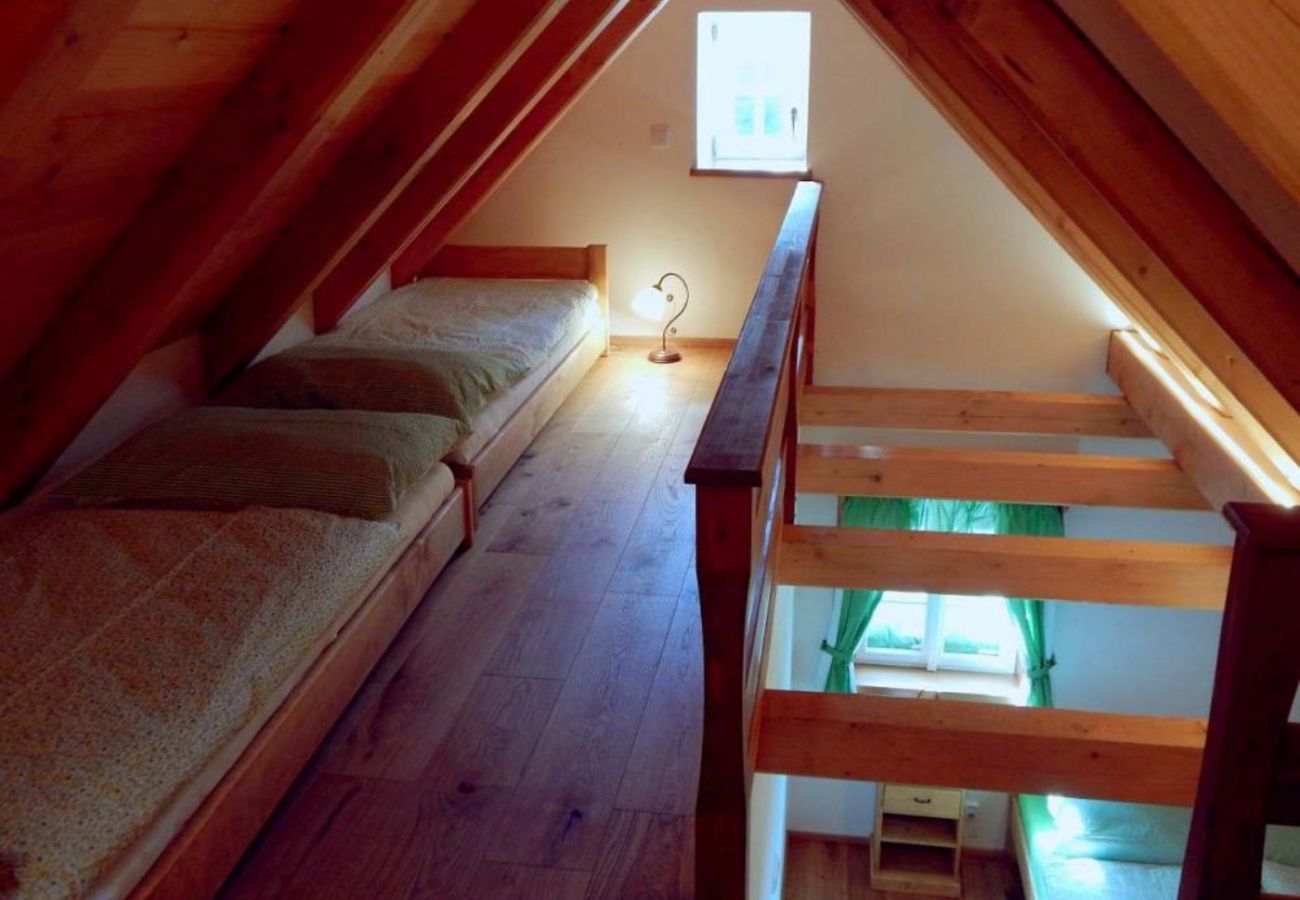 Villa in Rokytnice nad Jizerou - KRM450