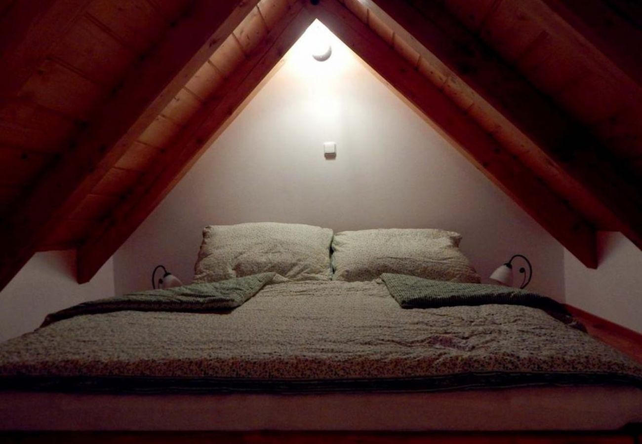 Villa in Rokytnice nad Jizerou - KRM450