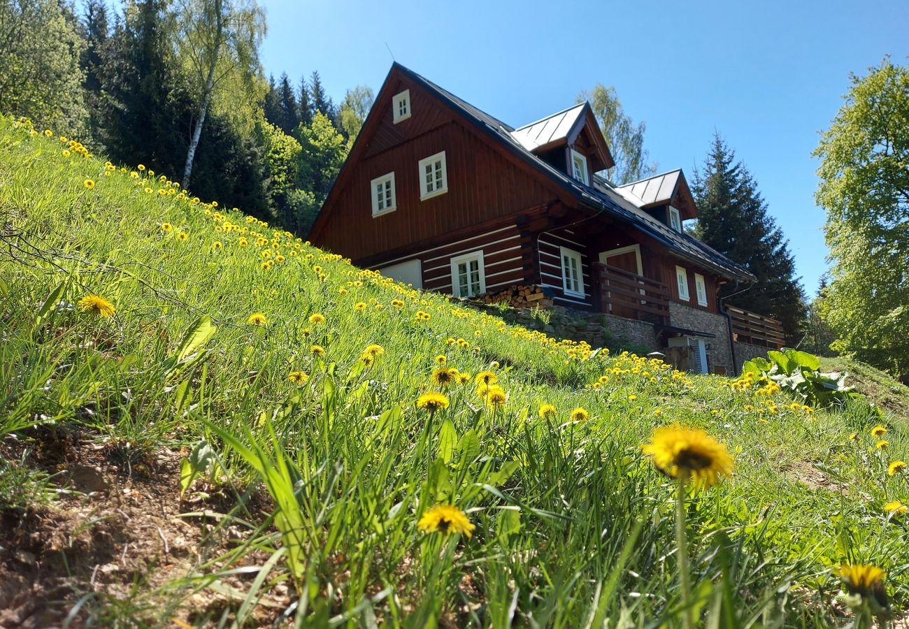 Villa in Rokytnice nad Jizerou - KRM450