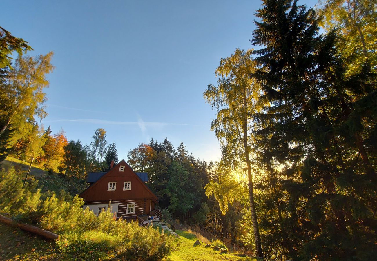 Villa in Rokytnice nad Jizerou - KRM450