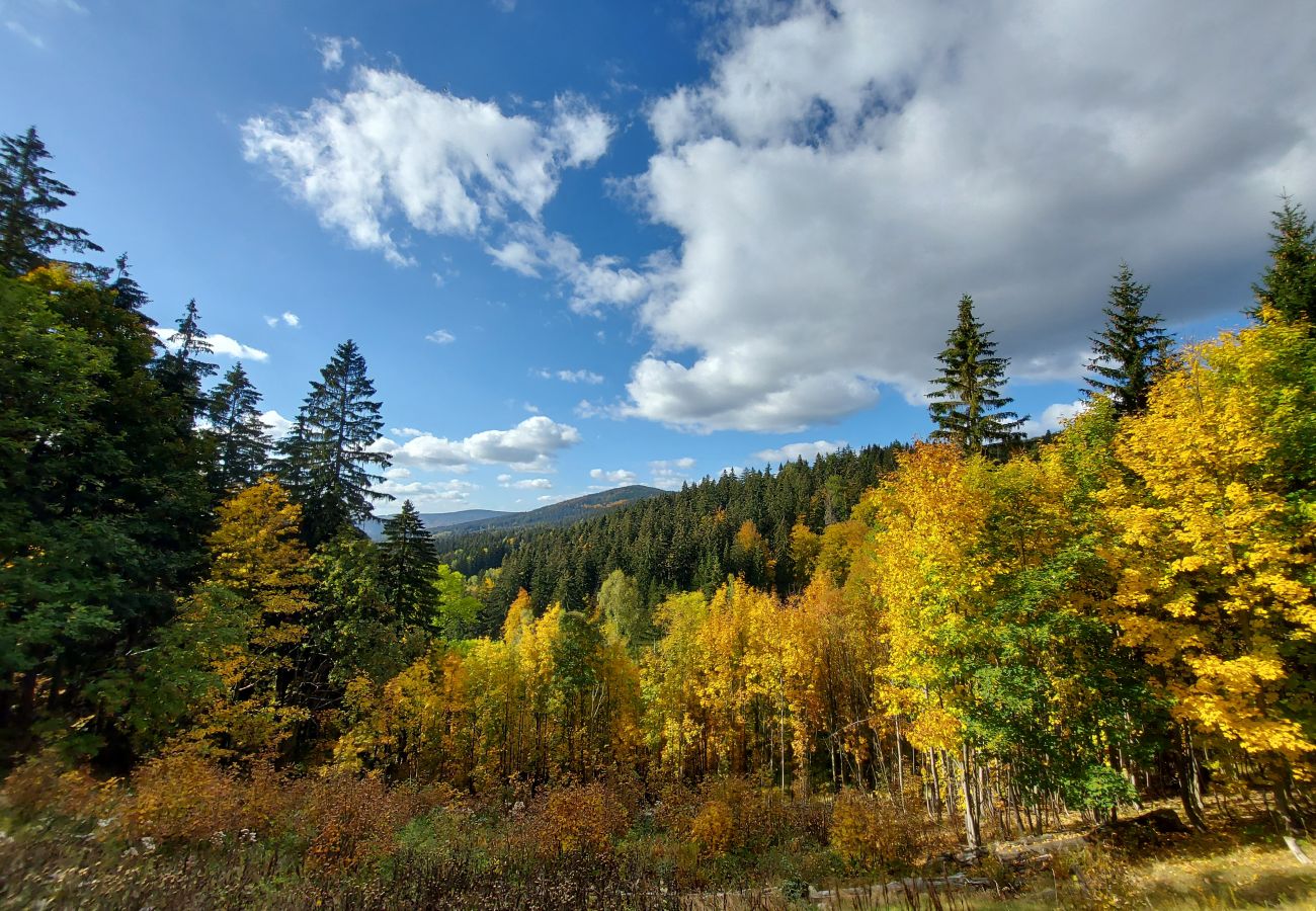 Villa in Rokytnice nad Jizerou - KRM450