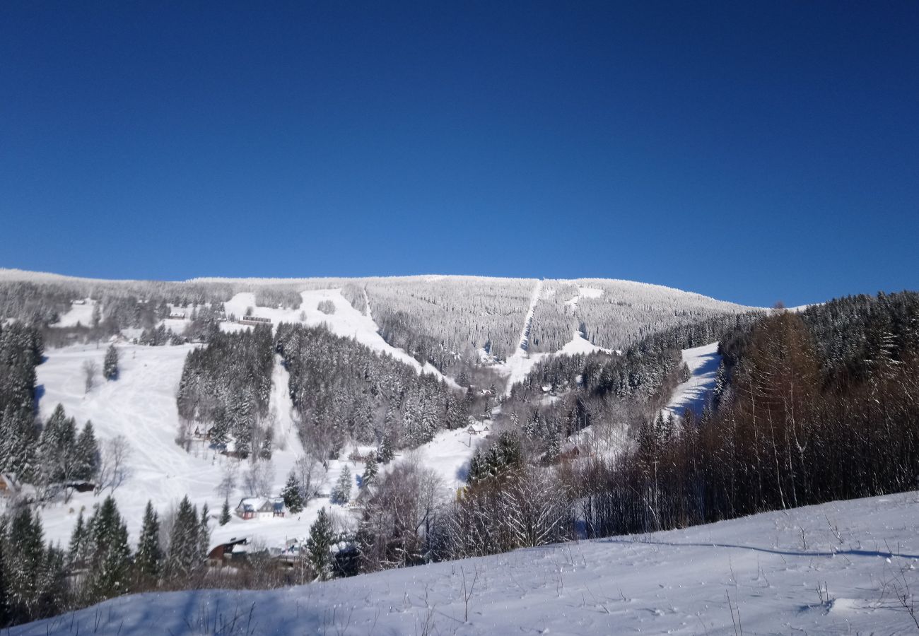 Villa in Rokytnice nad Jizerou - KRM450