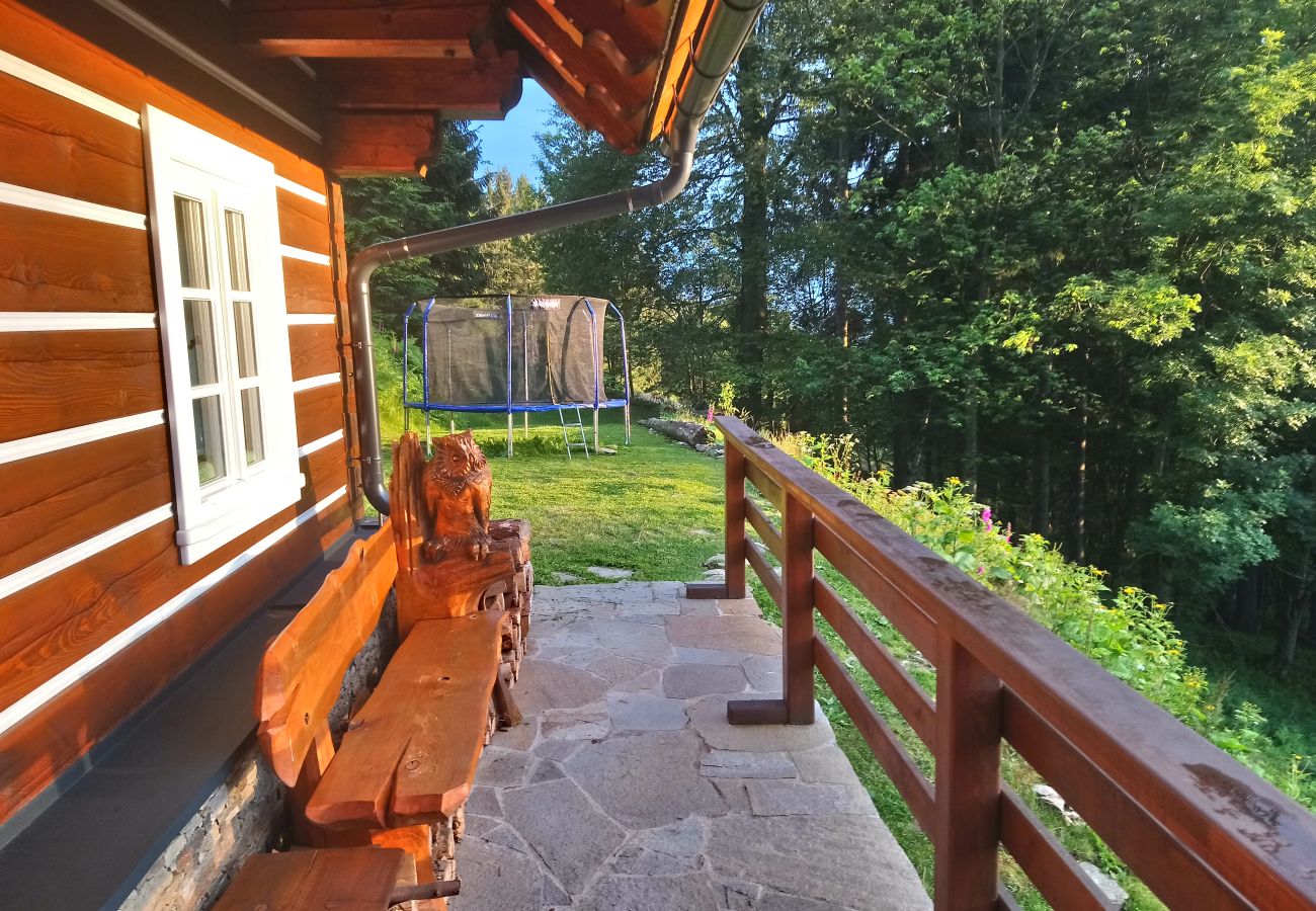 Villa in Rokytnice nad Jizerou - KRM450