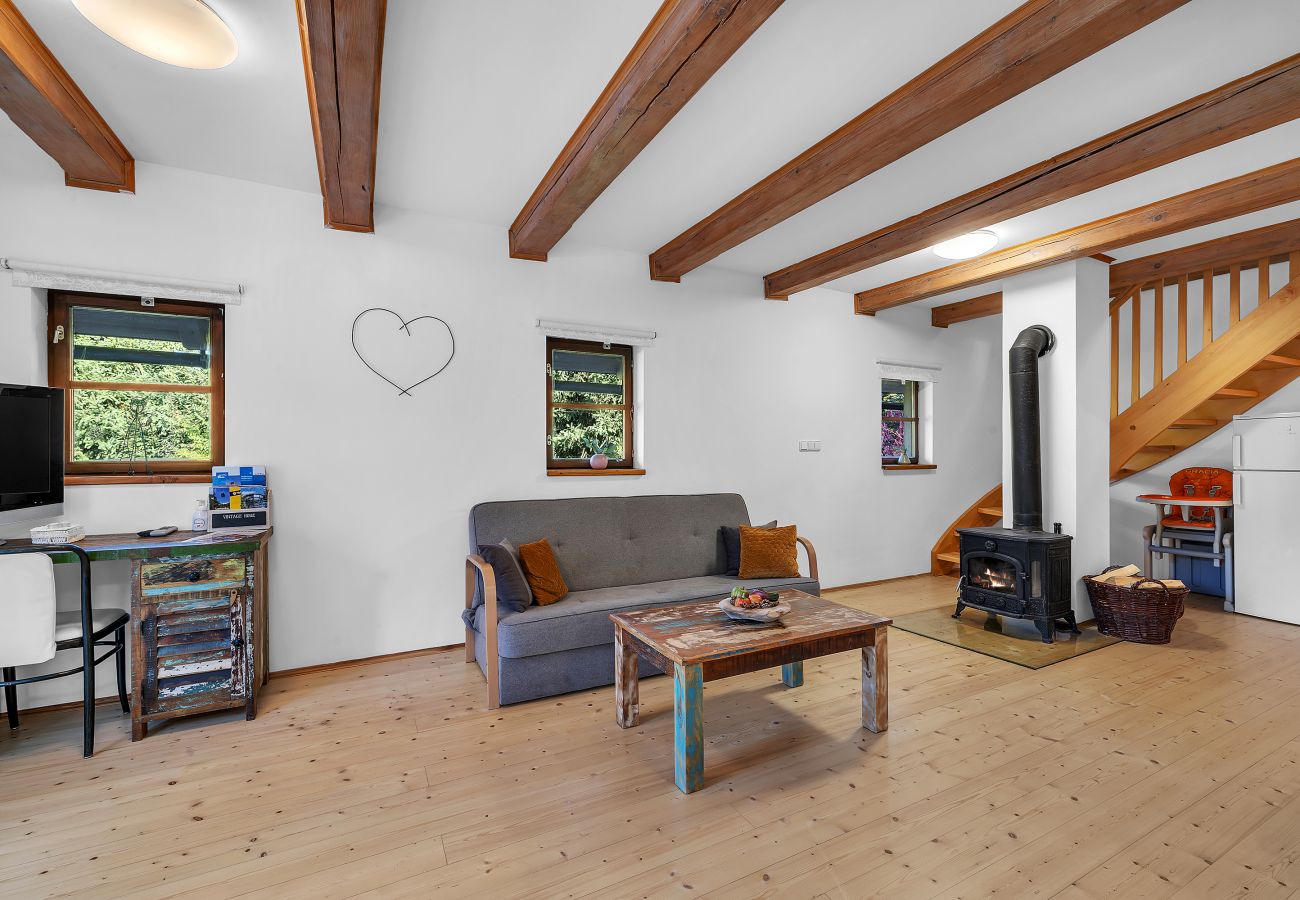 Villa in Dolní Branná - KDK11210 