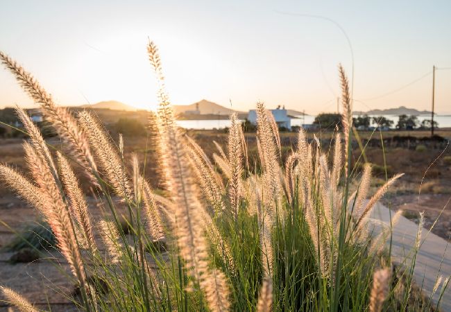 Villa in Xifara - SPECTACULAR 5 BR SEAFRONT VILLA AT PRIME LOCATION  Villa in Xifara - SPECTACULAR 5 BR SEAFRONT VILLA AT PRIME LOCATION