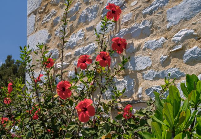 Villa in Alika - Alika Pure Zen Home  Villa in Alika - Alika Pure Zen Home