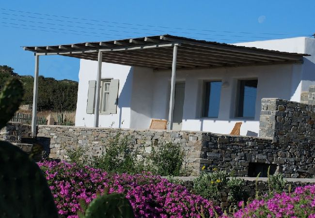 Villa in Santa Maria - Kallisti Villas - An oasis for 22 people  Villa in Santa Maria - Kallisti Villas - An oasis for 22 people