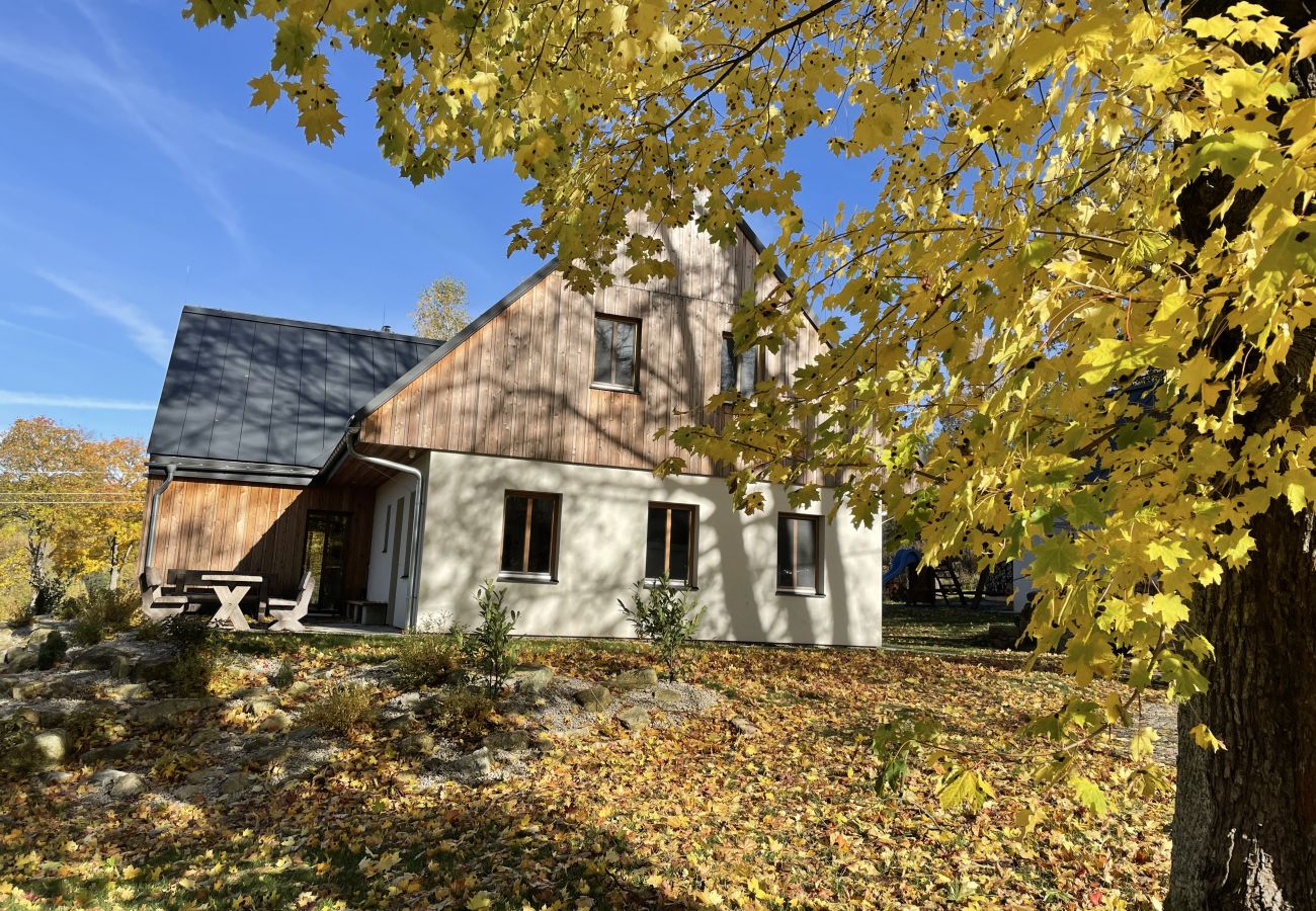 Villa in Korenov - LPM010 