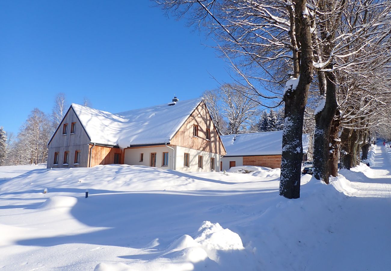 Villa in Korenov - LPM010 