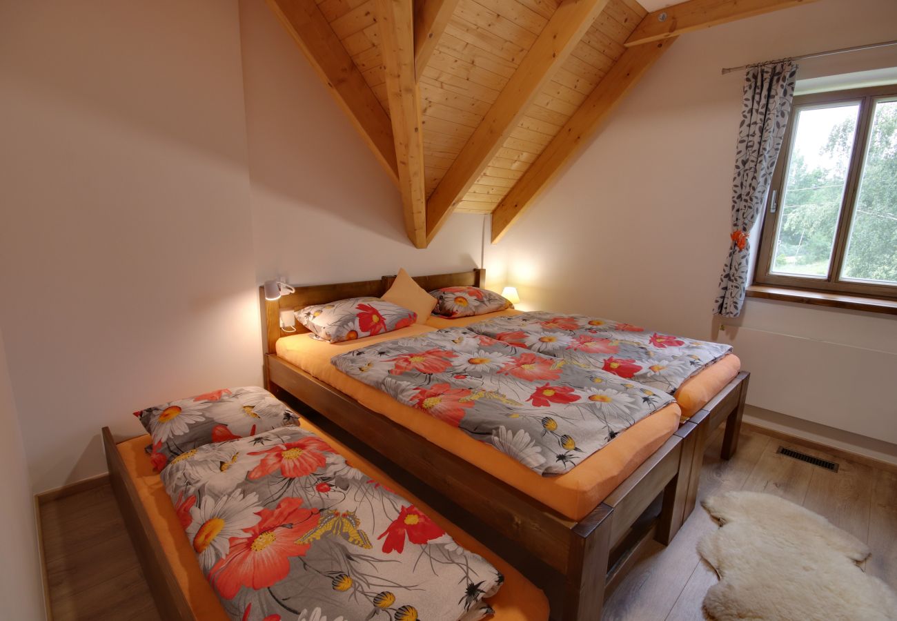 Villa in Korenov - LPM010 