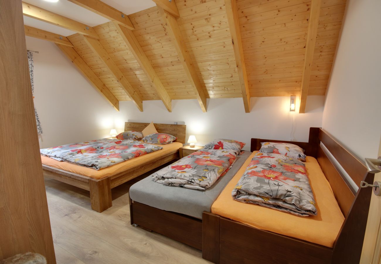 Villa in Korenov - LPM010 