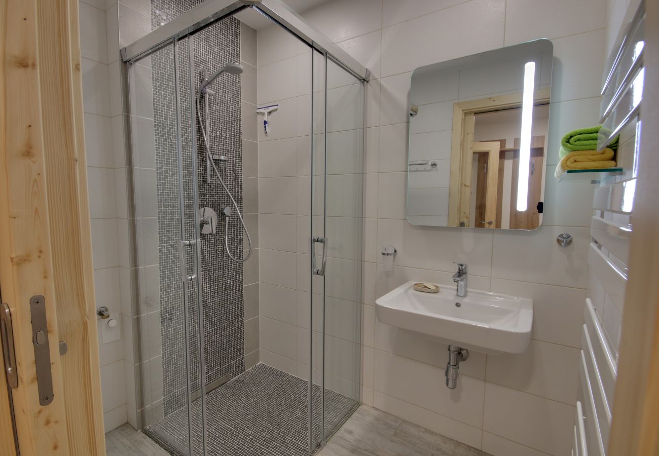 Villa in Korenov - LPM010 