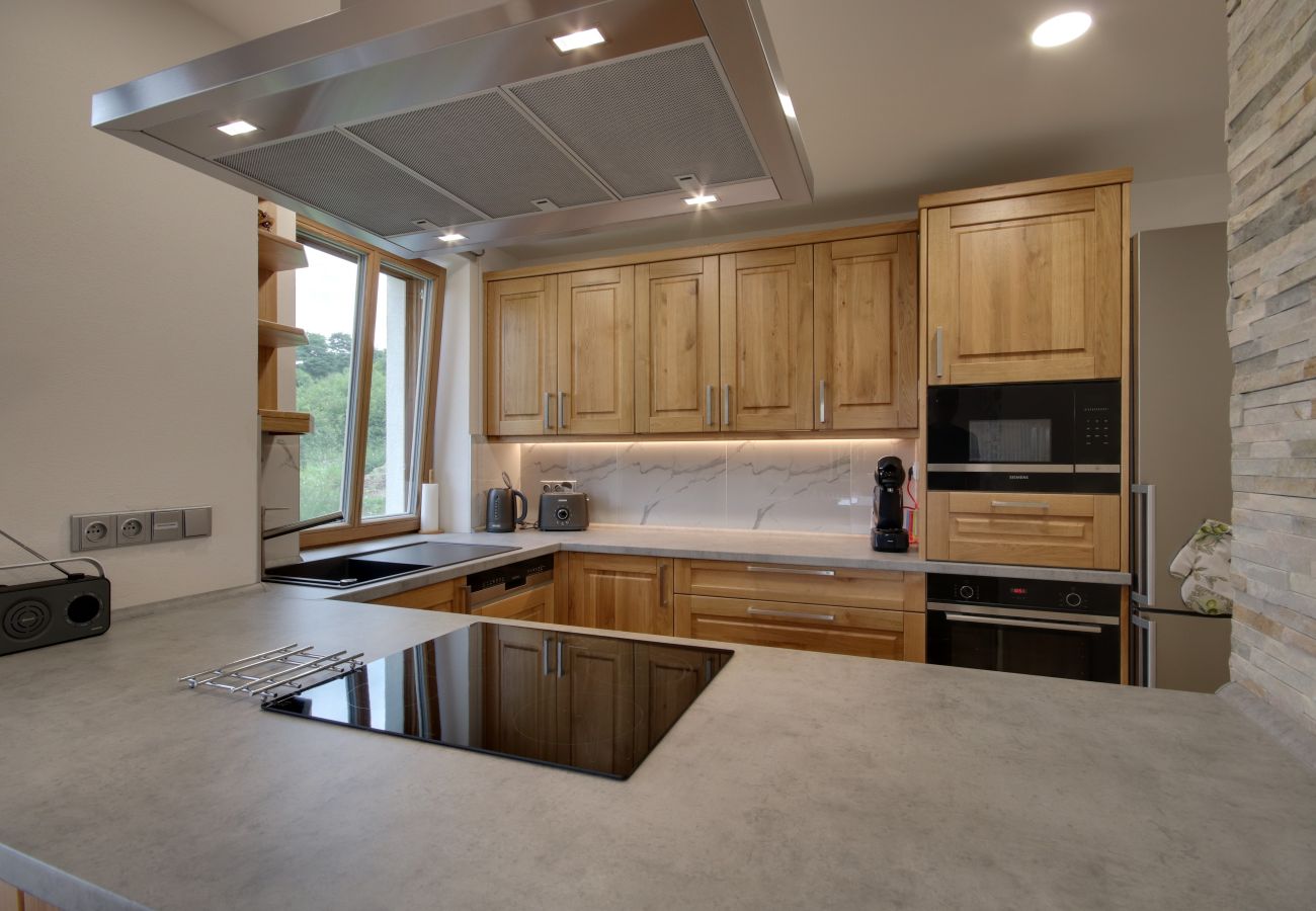 Villa in Korenov - LPM010 