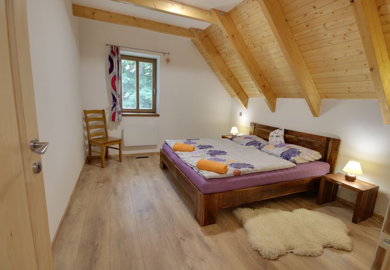 Villa in Korenov - LPM010 