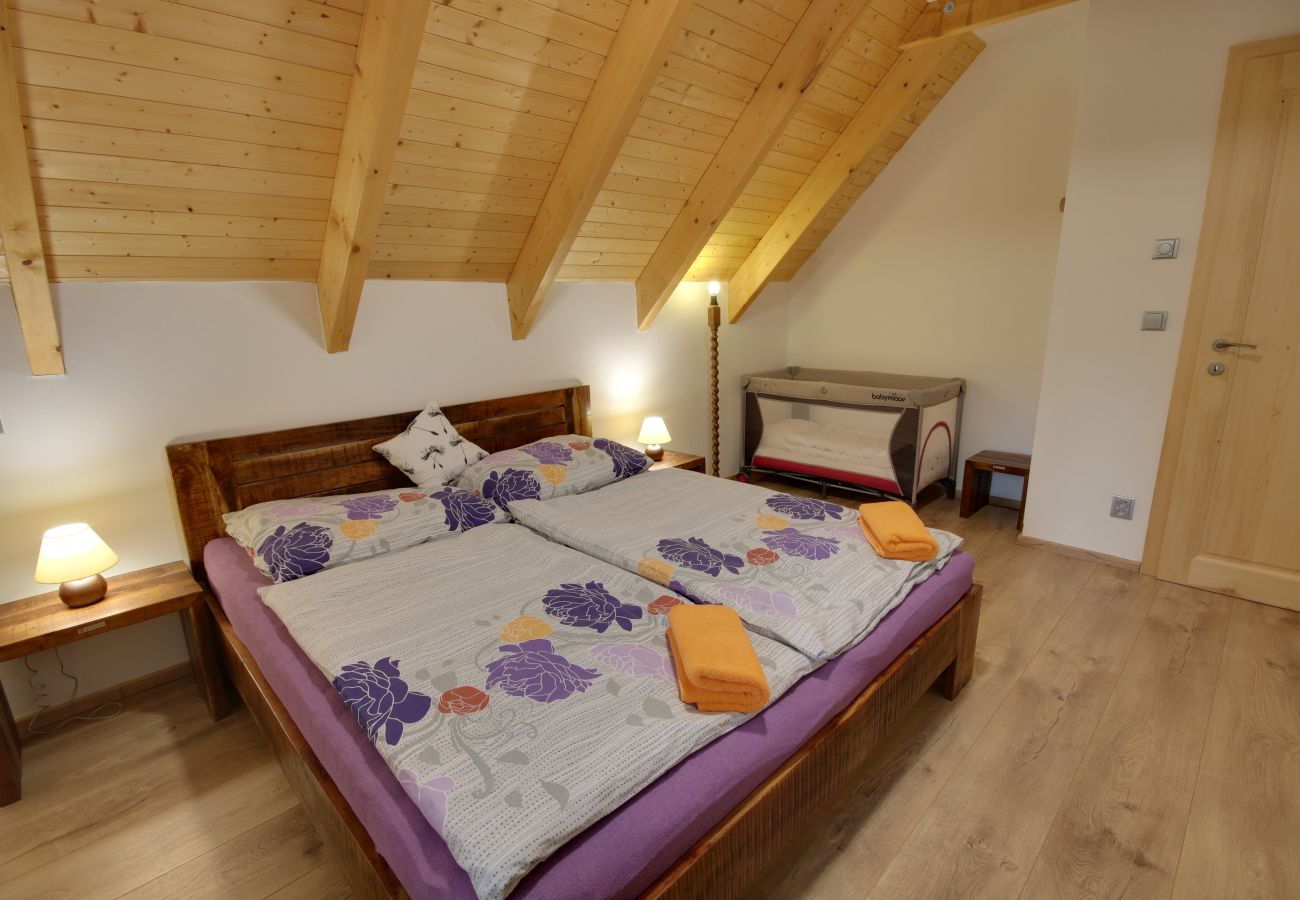 Villa in Korenov - LPM010 