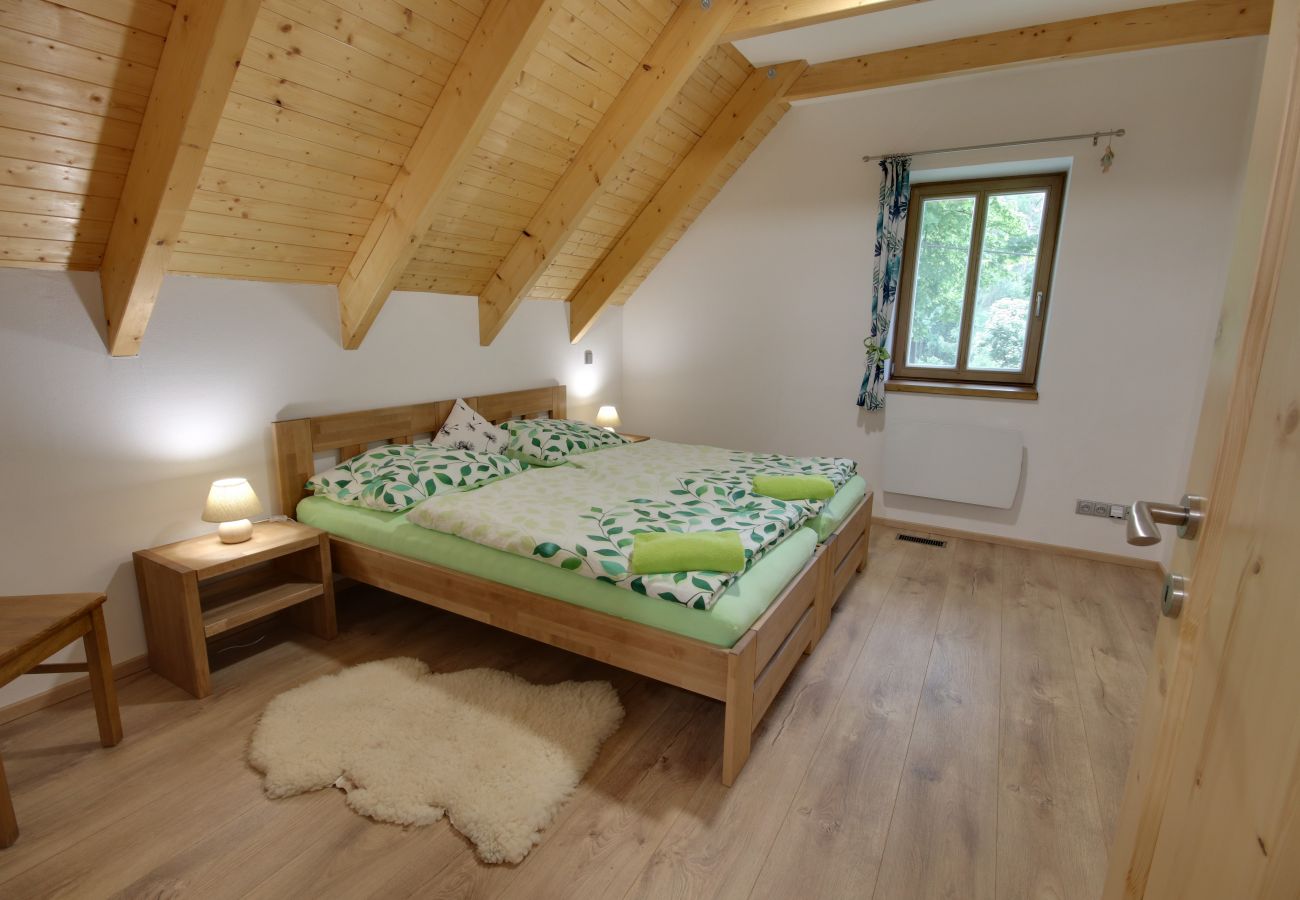 Villa in Korenov - LPM010 