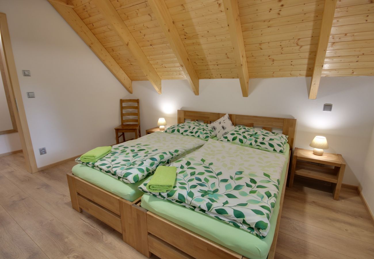 Villa in Korenov - LPM010 