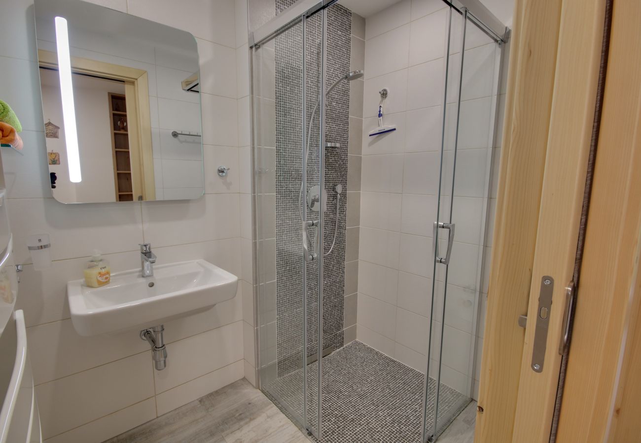 Villa in Korenov - LPM010 