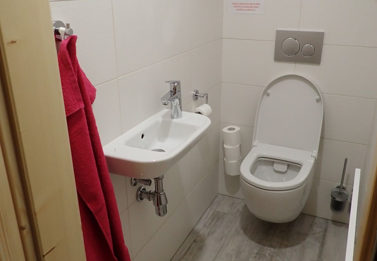 Villa in Korenov - LPM010 