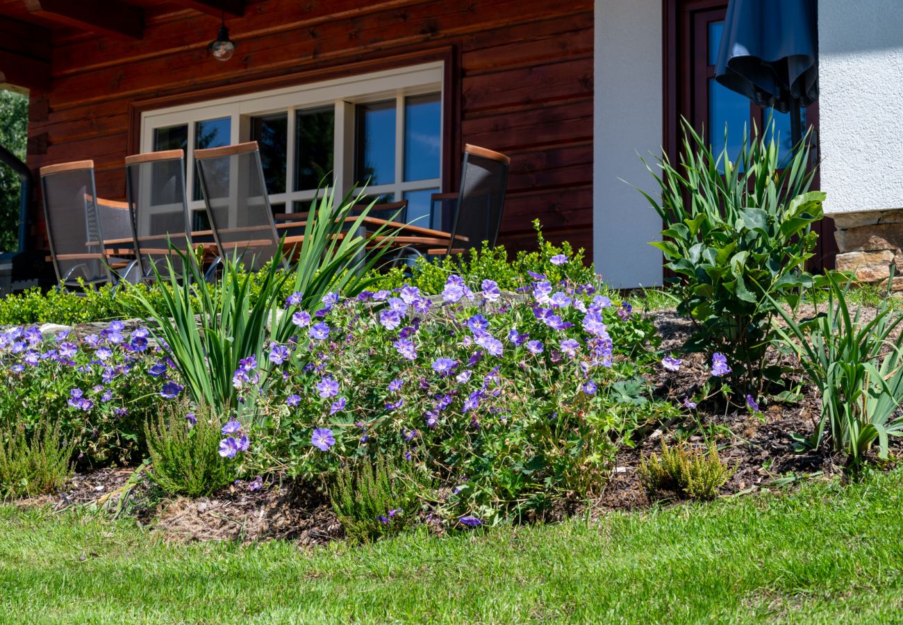 Villa in Vysoké nad Jizerou - KKH070 